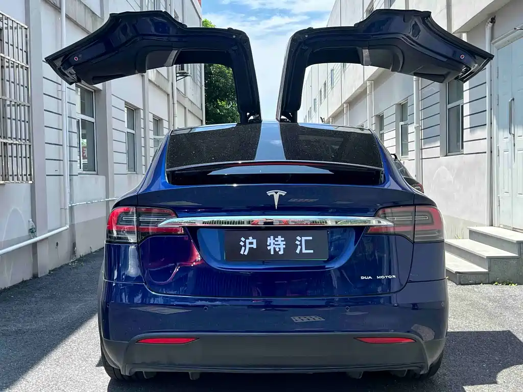 Model X 2019 Long Range Edition купить на сайте DeffCars