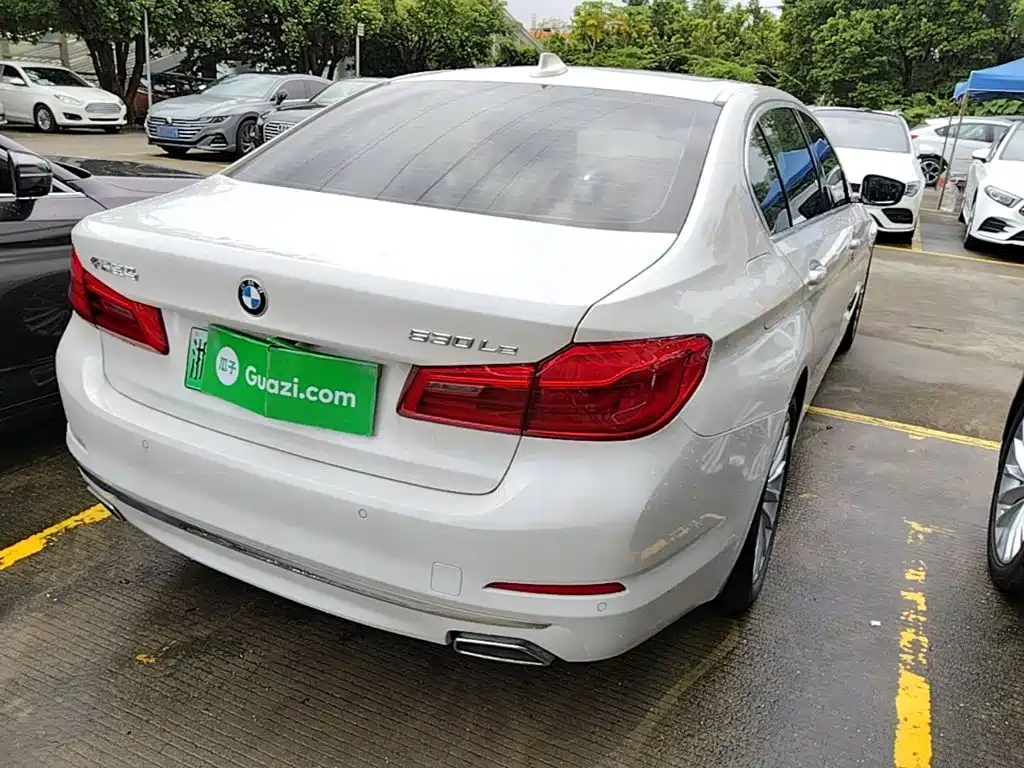 BMW 5 Series New Energy 2020 Mileage Upgraded Version 530Le Luxury Package купить на сайте DeffCars
