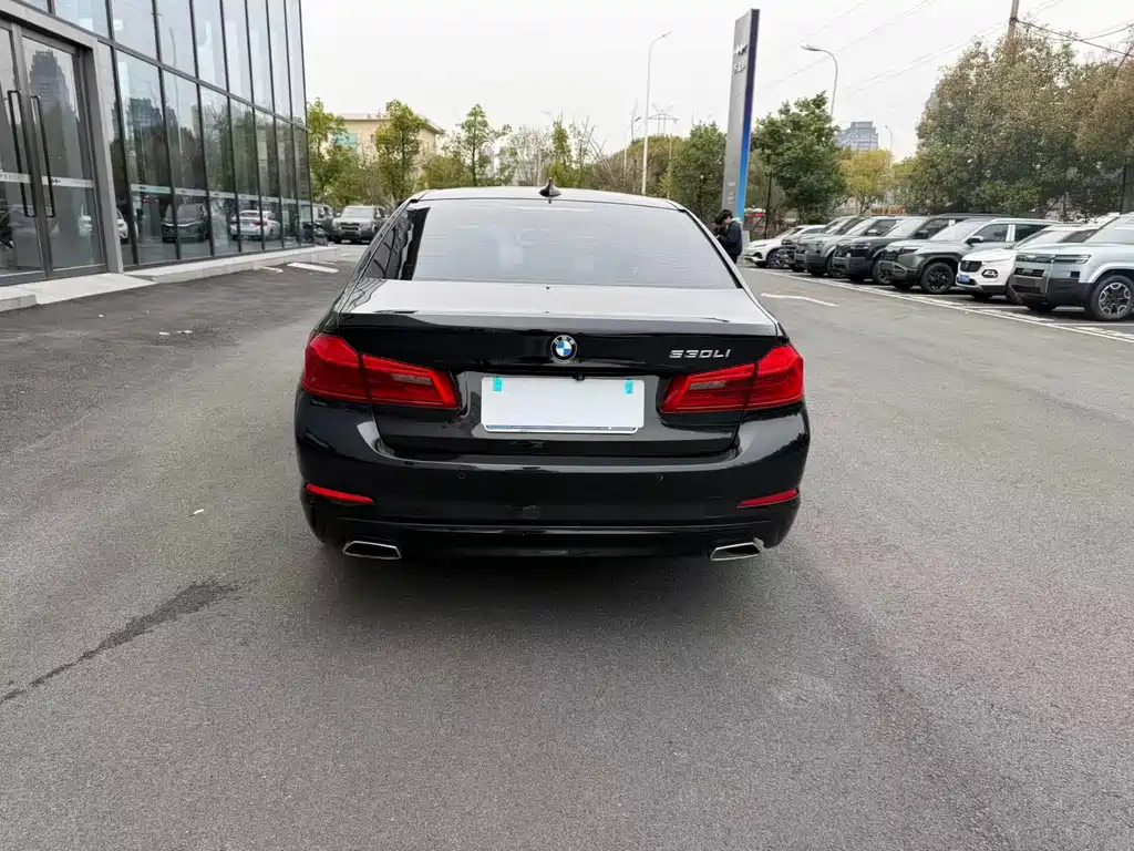 BMW 5 Series 2019 530Li Exclusive Luxury Package купить на сайте DeffCars