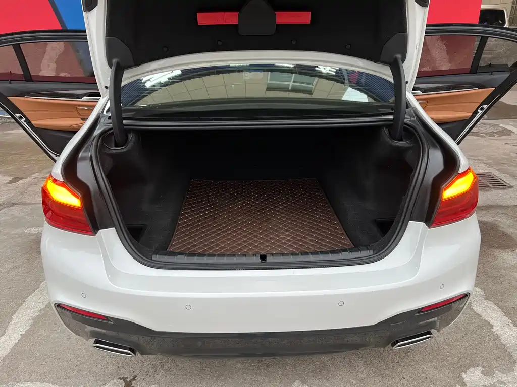 BMW 5 Series 2020 530Li Leading M Sports Package купить на сайте DeffCars