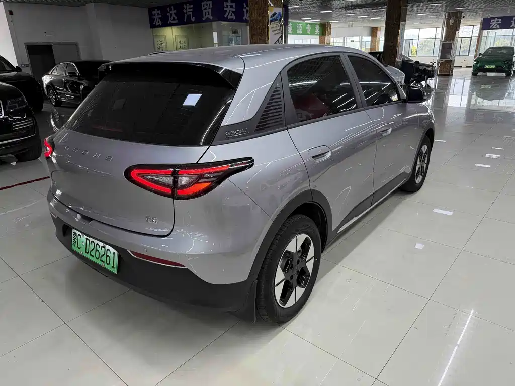 Xingyuan (Geome) 2025 310km Youth Edition купить на сайте DeffCars