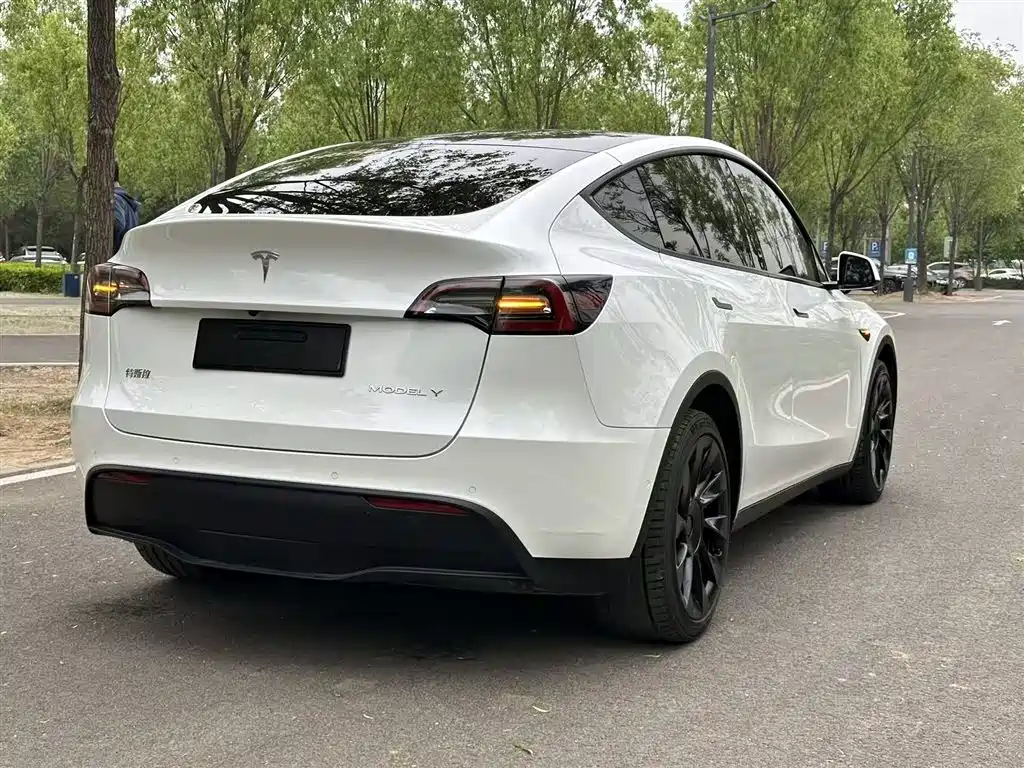 Model Y 2021 long-range all-wheel drive version купить на сайте DeffCars