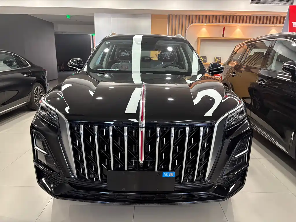 Hongqi HS5 2025 2.0T two-wheel drive Qixiang Pro version купить на сайте DeffCars