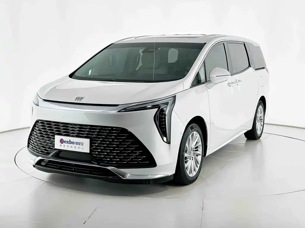 Century 2023 2.0T Six-seater Yuanshi Edition купить на сайте DeffCars