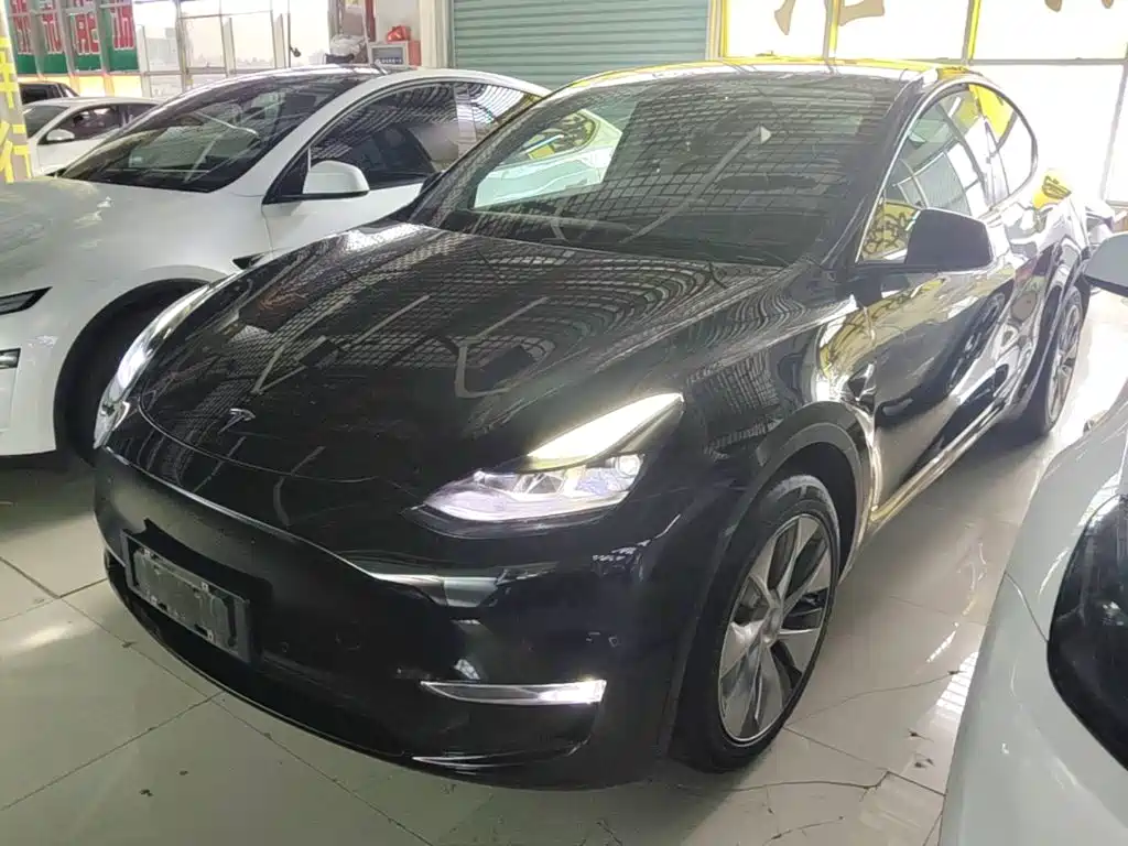 Model Y 2021 standard range rear-wheel drive version купить на сайте DeffCars