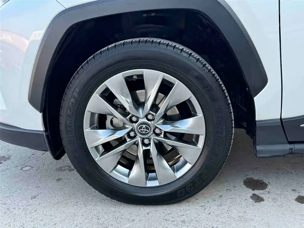 Wilanda 2022 2.0L CVT two-wheel drive luxury version купить на сайте DeffCars