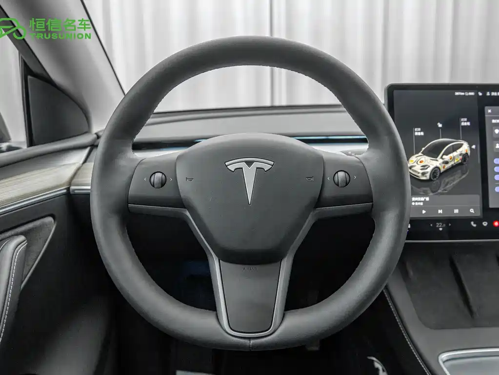 Model Y 2022 modified rear-wheel drive version купить на сайте DeffCars