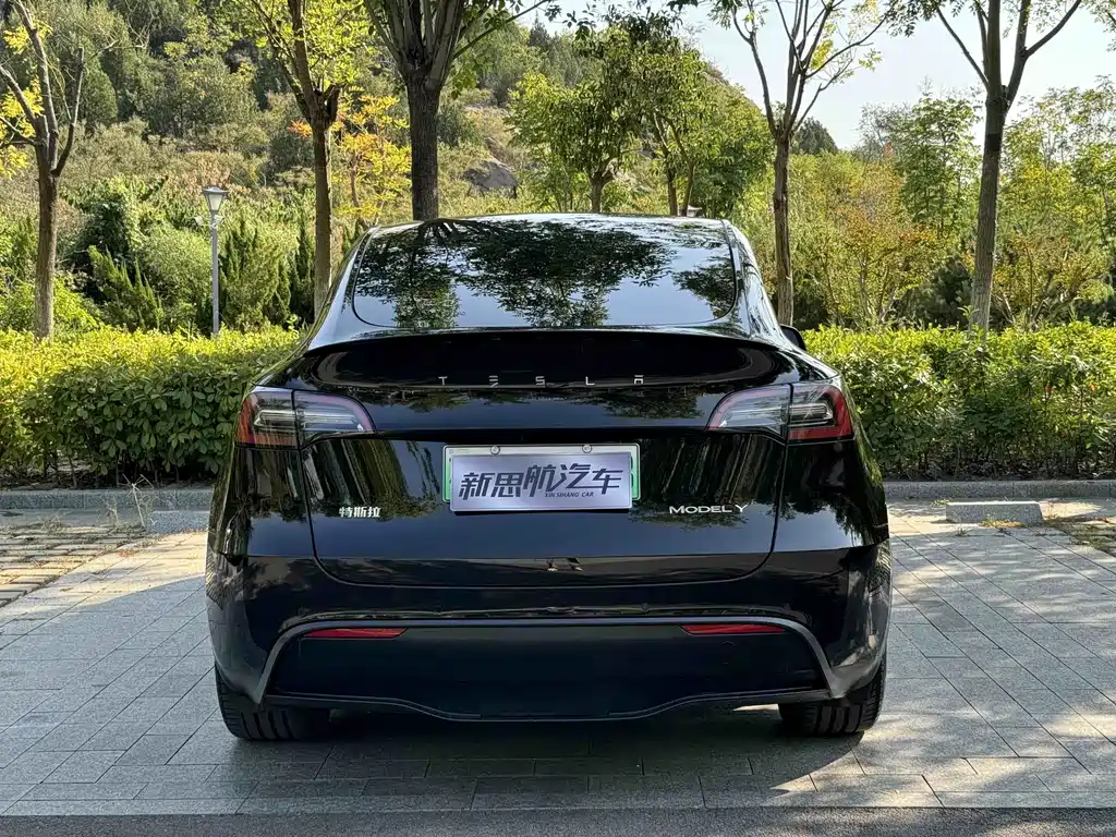 Model Y 2022 facelift rear-wheel drive version купить на сайте DeffCars
