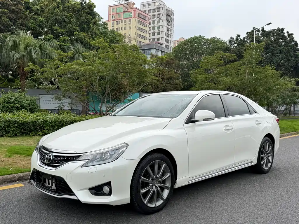 Ruizhi 2013 2.5V Shangrui version купить на сайте DeffCars