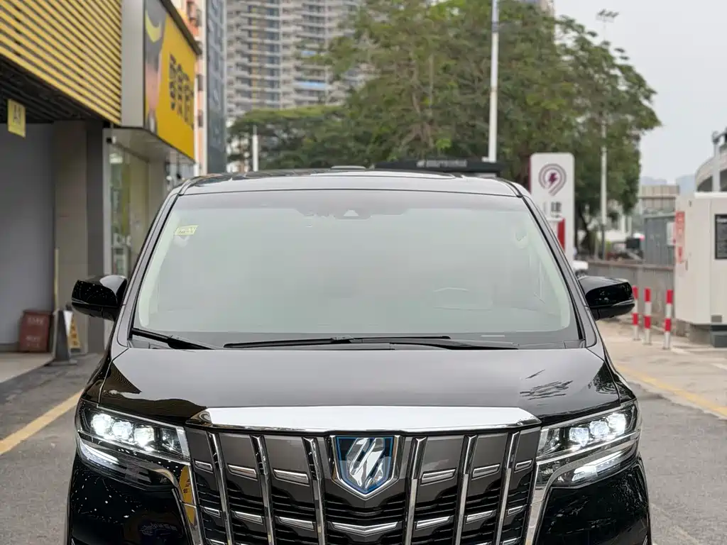 Wilfa 2019 Shuangqing 2.5L HV Premium Edition купить на сайте DeffCars