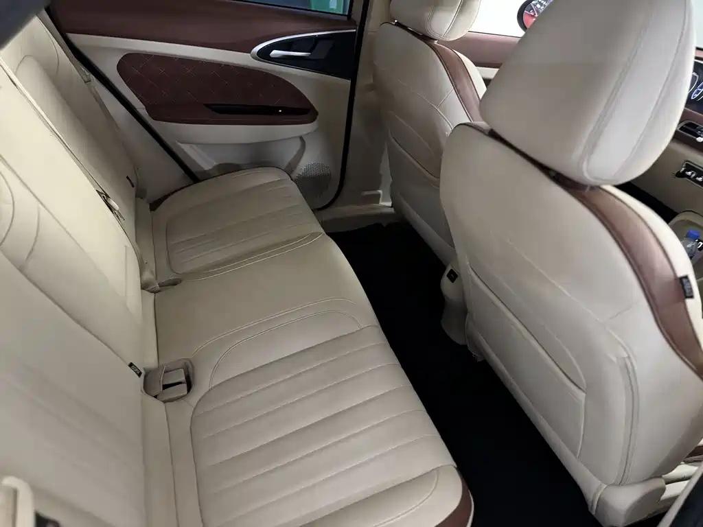 Euler Good Cat 2021 model 400km standard battery life Venus version ternary lithium купить на сайте DeffCars