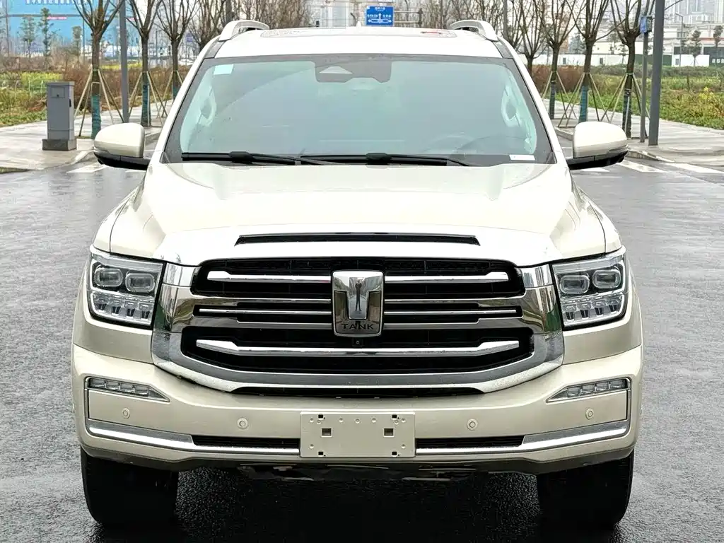 Tank 500 2022 model 3.0T sports version, environment type, 5 seats купить на сайте DeffCars