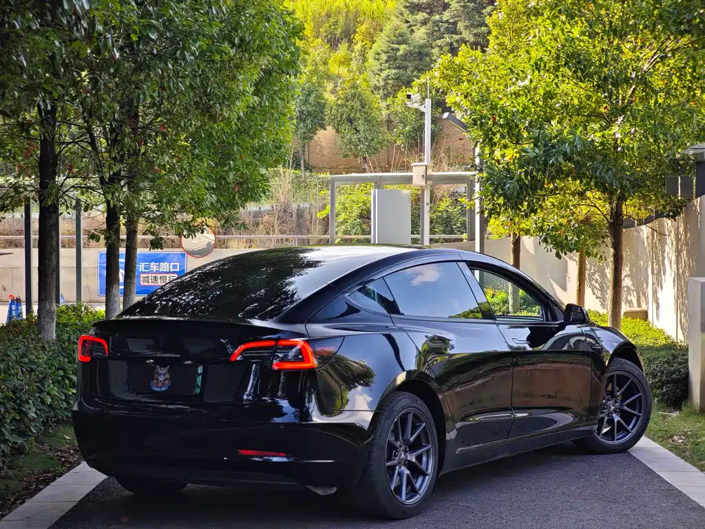 Model 3 2021 Standard Range Rear Drive Upgraded 3D6 купить на сайте DeffCars