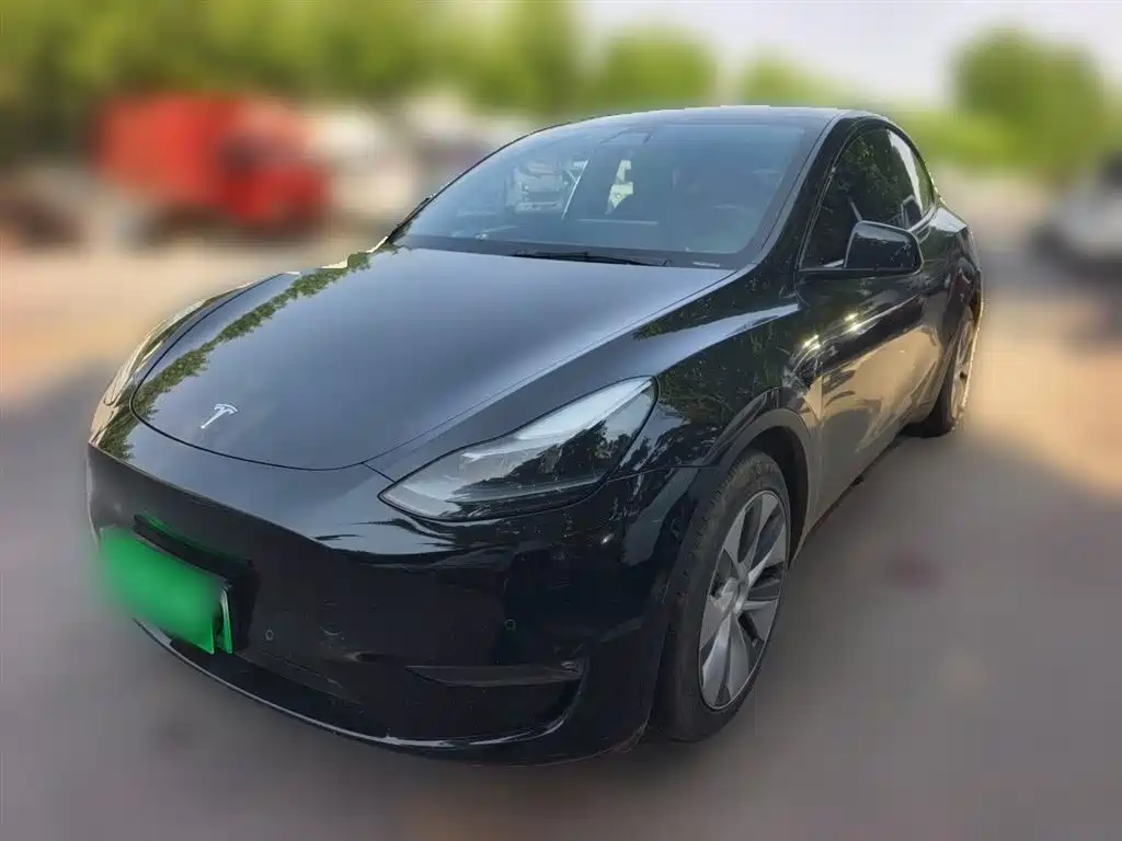 Model Y 2021 standard range rear-wheel drive version купить на сайте DeffCars
