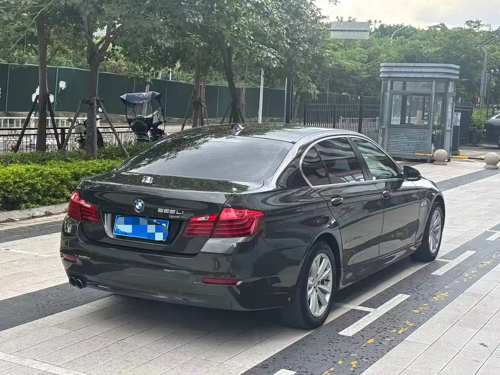 BMW 5 Series 2014 520Li Elegant купить на сайте DeffCars