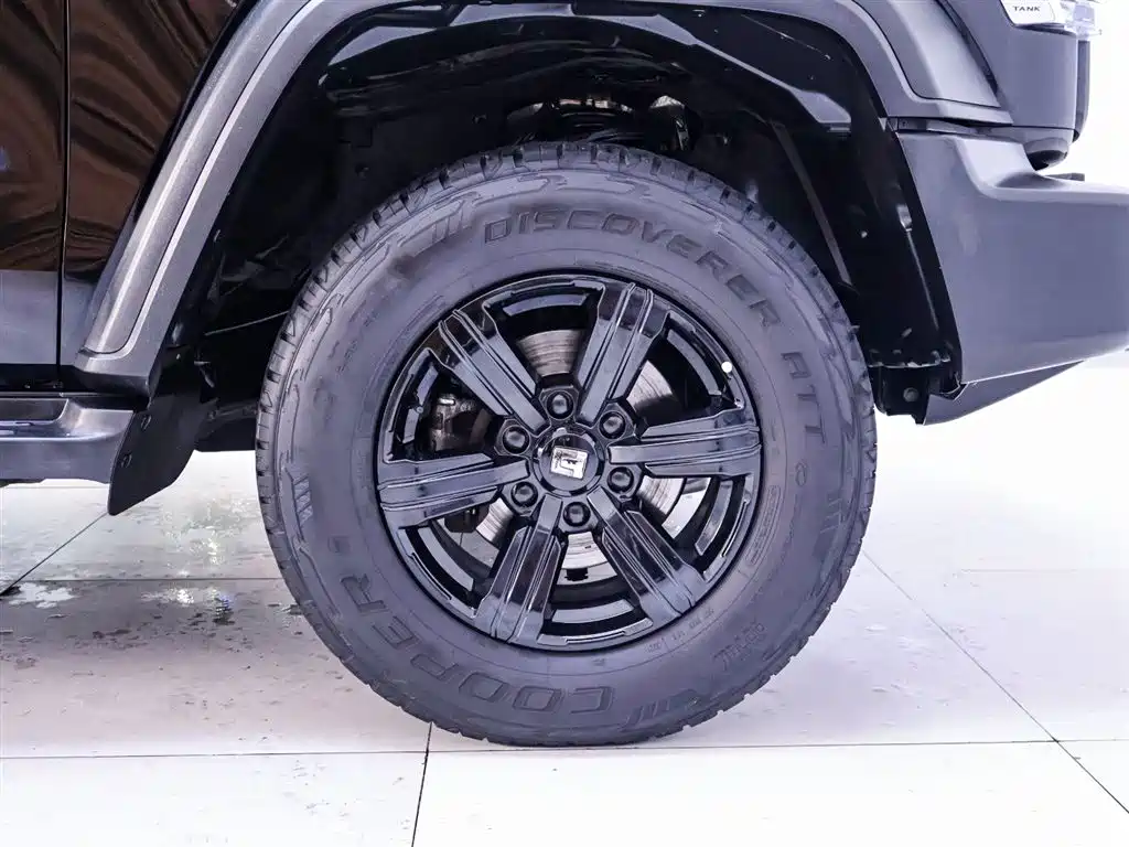 Tank 300 2021 Off-Road Version 2.0T Conqueror купить на сайте DeffCars