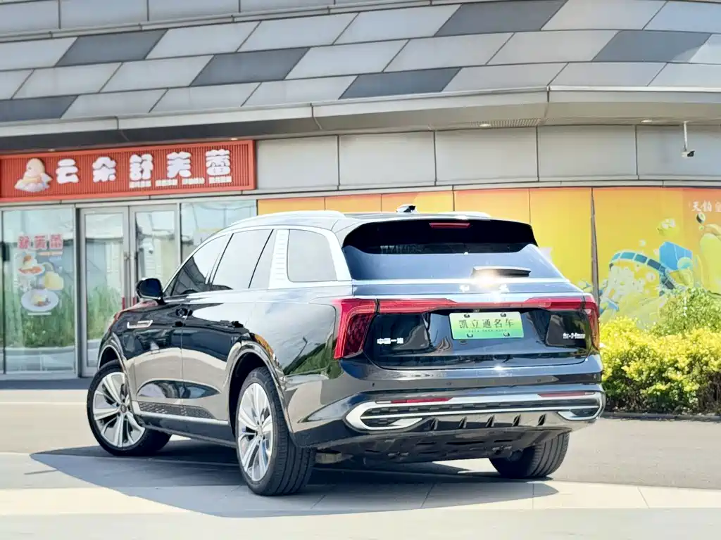 Hongqi E-HS9 2022 model 690km flagship version six seats купить на сайте DeffCars