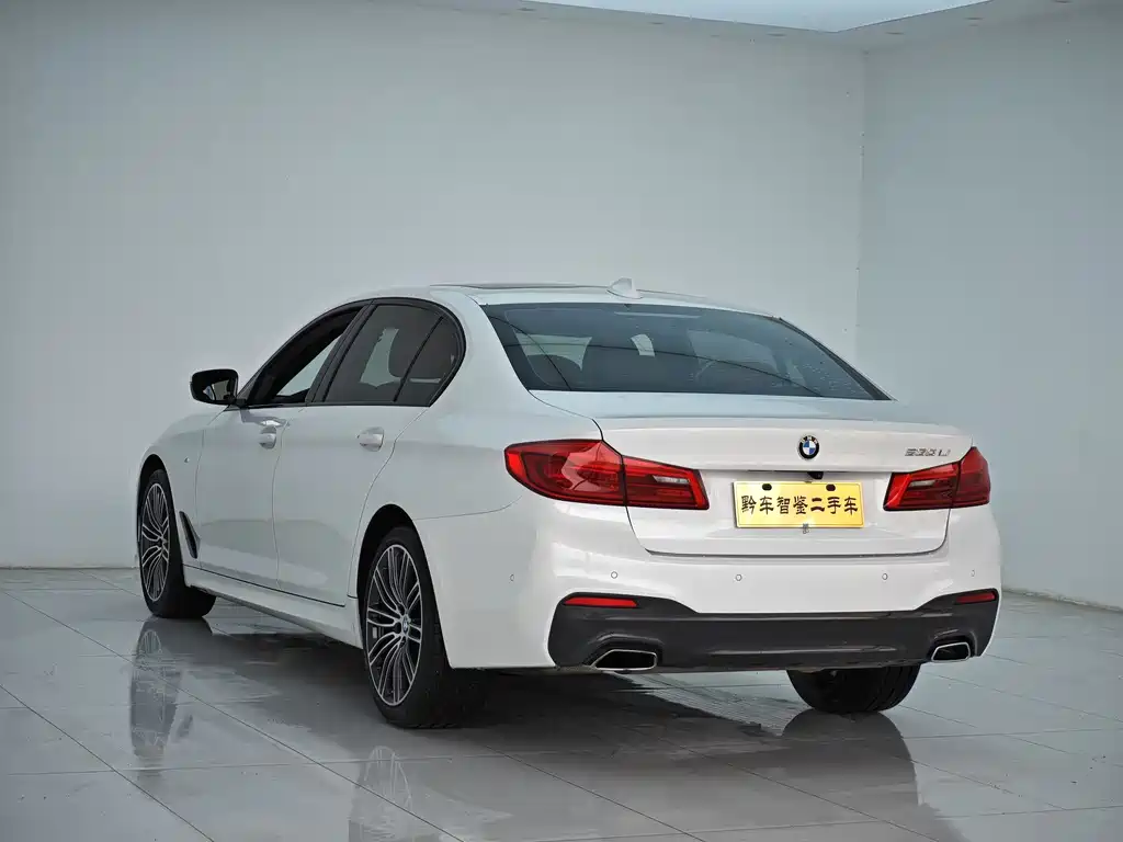 BMW 5 Series 2019 530Li Leading M Sports Package купить на сайте DeffCars