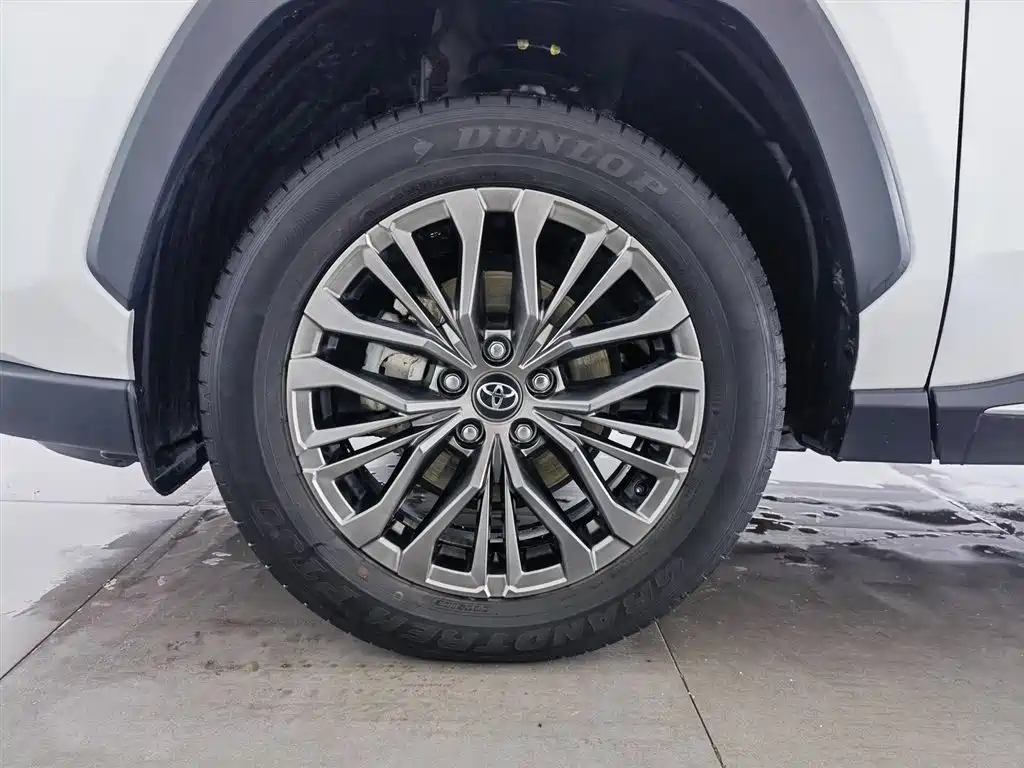 Wilanda 2023 Dual Engine 2.5L E-CVT Two-wheel Drive Luxury PLUS Edition купить на сайте DeffCars