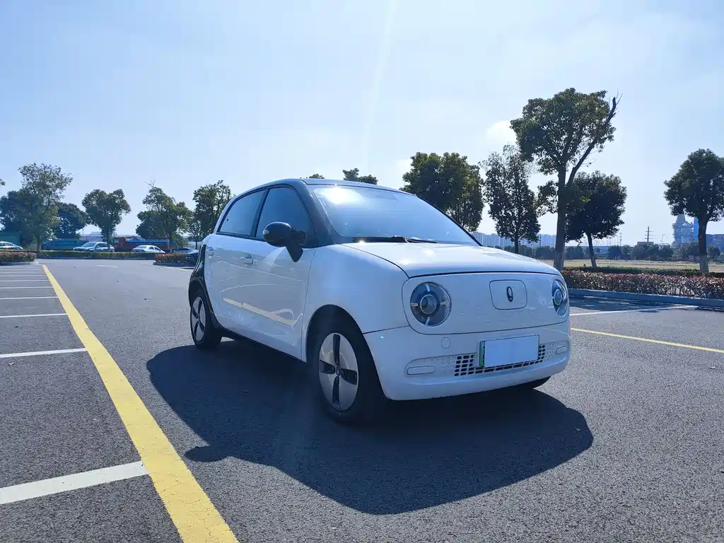 Euler Black Cat 2021 301km Cute Pet Edition купить на сайте DeffCars