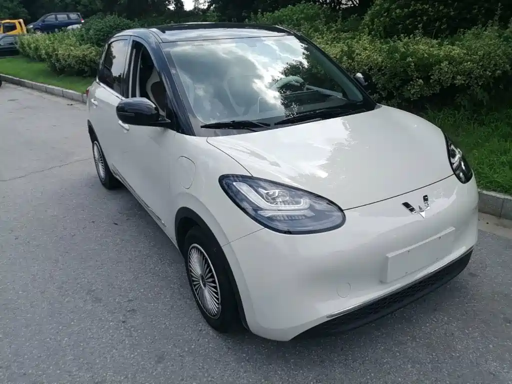 Bingo 2024 333km Spirit Rhinoceros Interconnection купить на сайте DeffCars