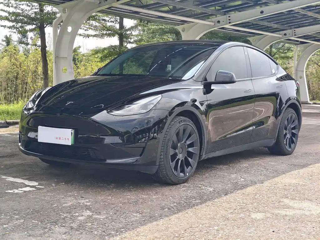Model Y 2022 rear-wheel drive version купить на сайте DeffCars