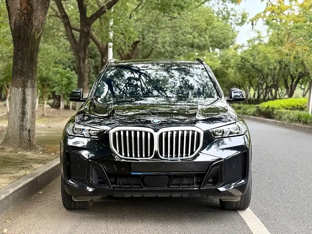 BMW X5 2023 xDrive 40Li M Sport Overnight Kit купить на сайте DeffCars