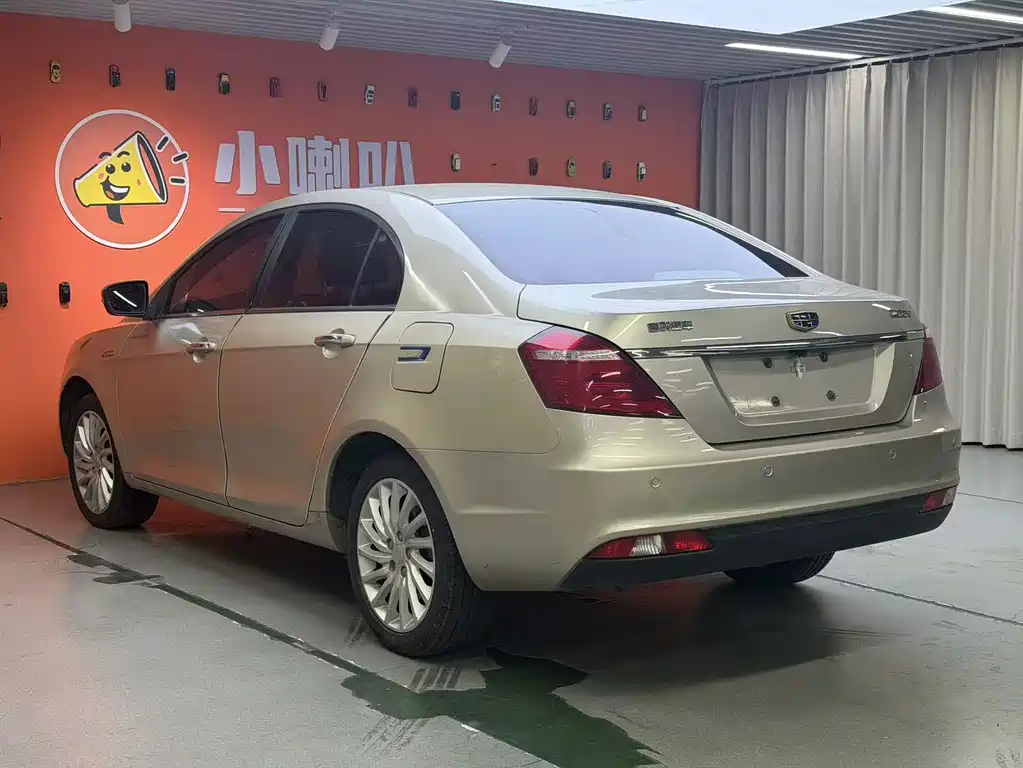 Emgrand New Energy 2017 EV300 Elite купить на сайте DeffCars