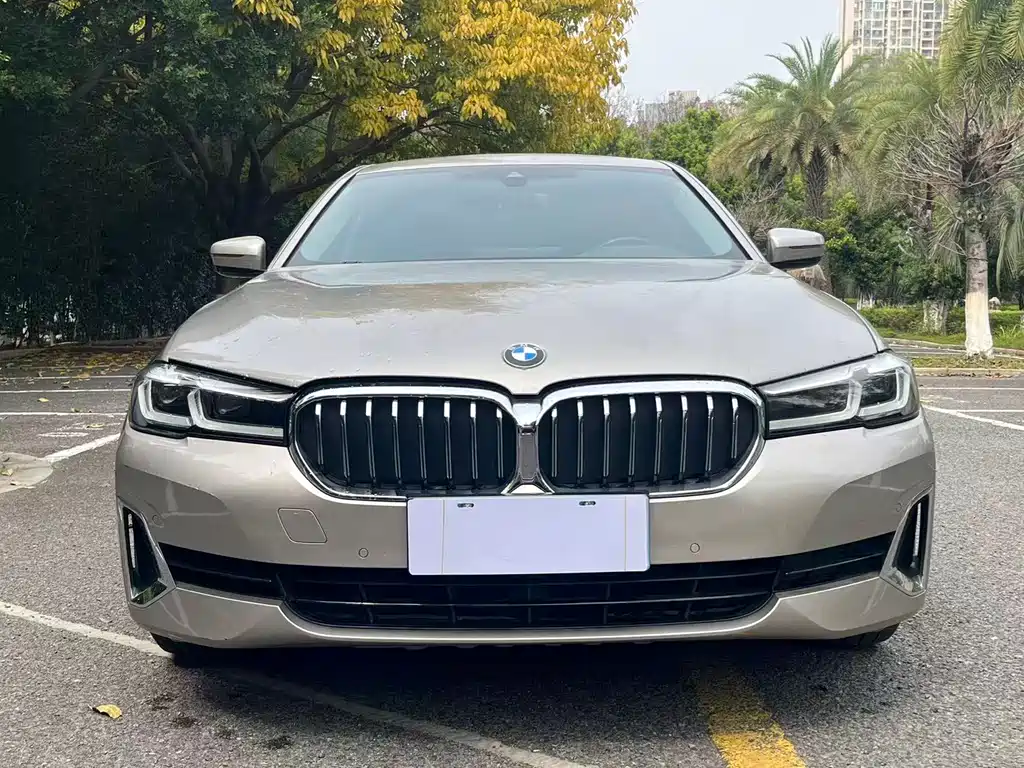 BMW 5 Series 2021 530Li Leading Luxury Package купить на сайте DeffCars