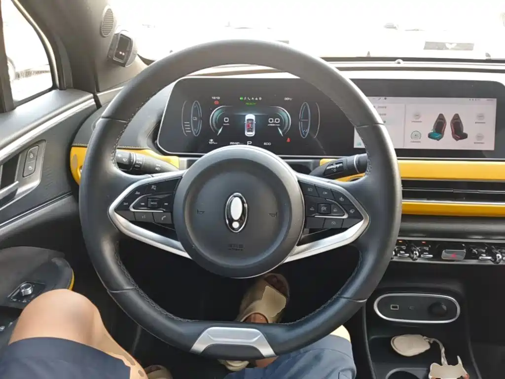 Euler Good Cat GT 2023 Mulan Edition 401km Premium Model купить на сайте DeffCars