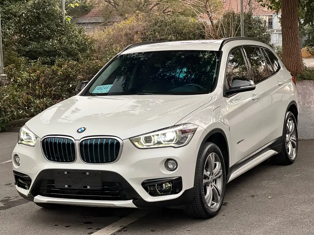 BMW X1 New Energy 2018 xDrive25Le Luxury Model купить на сайте DeffCars