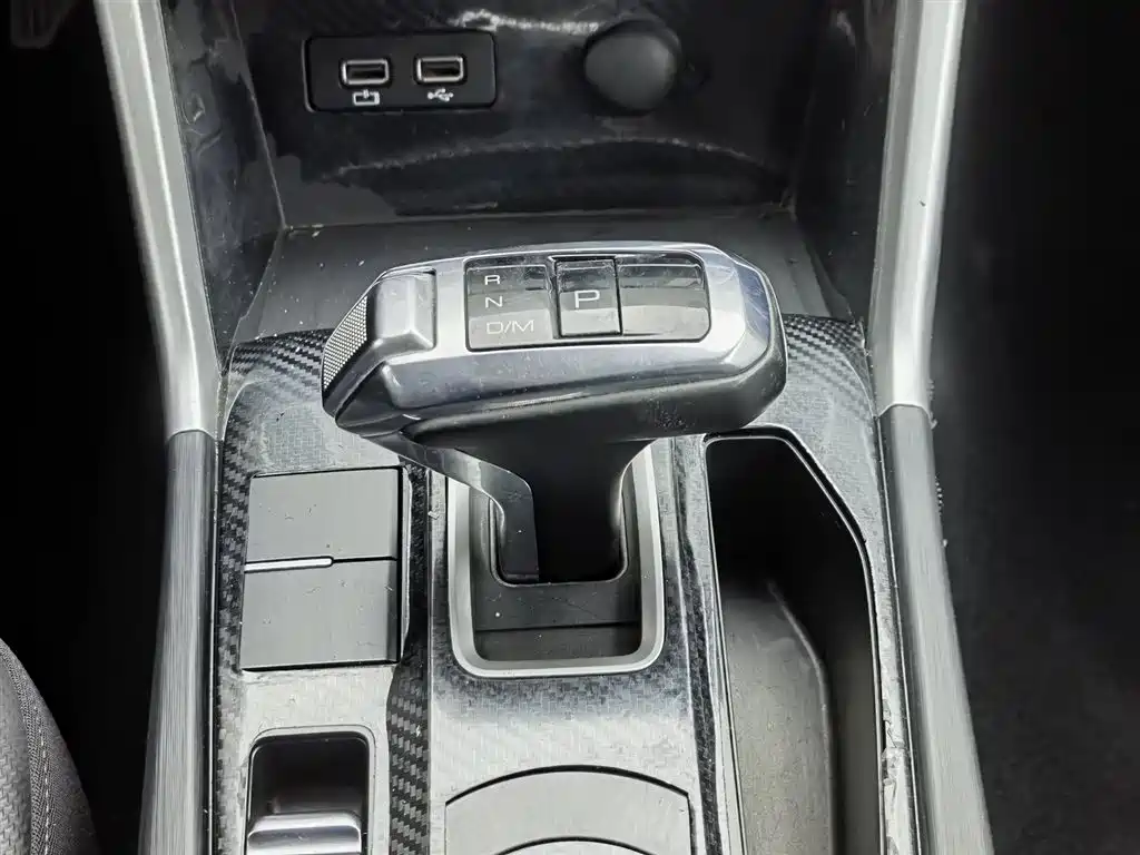 Cannon 2021 2.0T commercial version automatic diesel two-wheel drive elite long box GW4D20M купить на сайте DeffCars