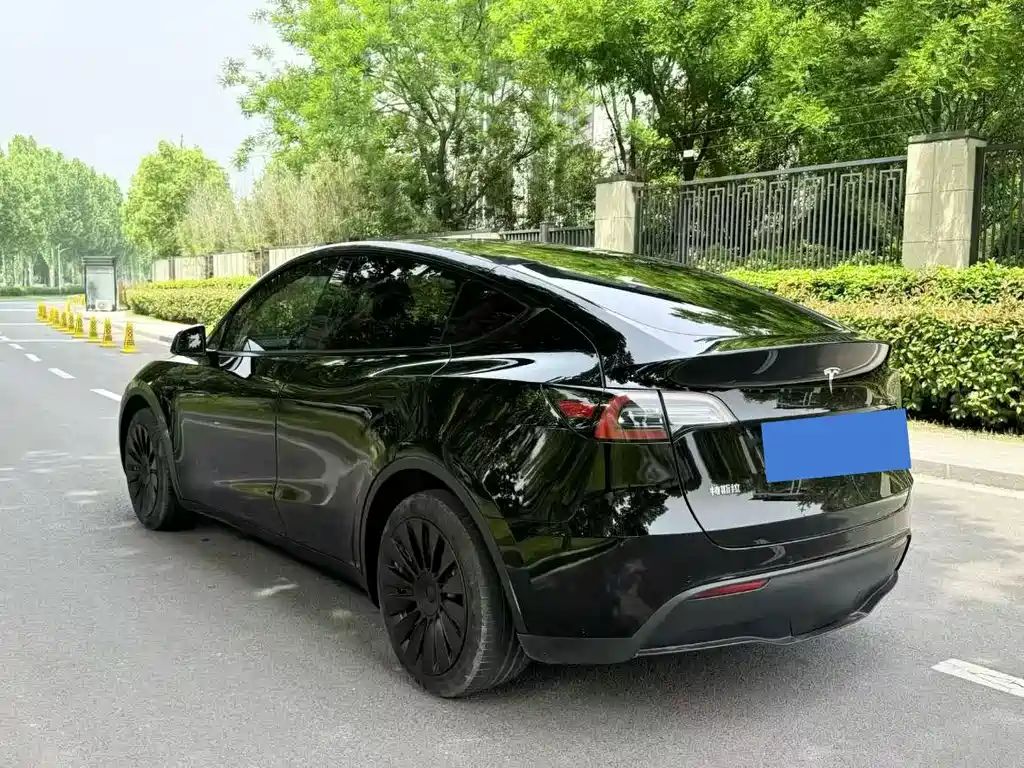Model Y 2023 rear-wheel drive version купить на сайте DeffCars