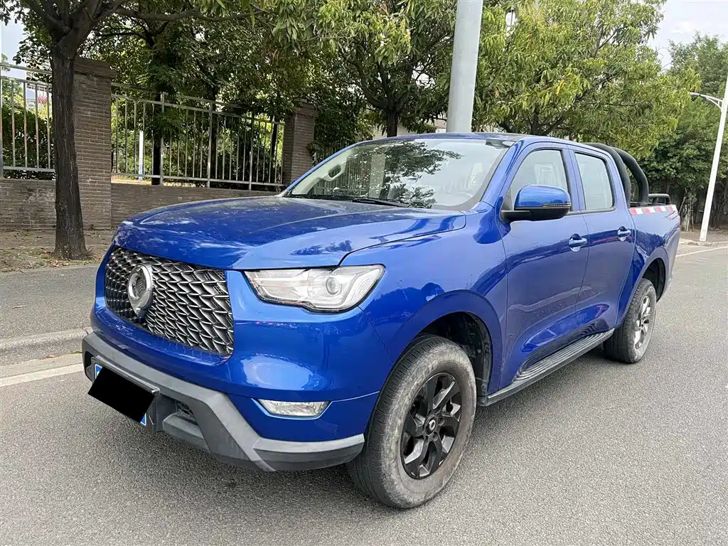 Cannon 2021 2.0T commercial version automatic diesel two-wheel drive pilot type standard box GW4D20M купить на сайте DeffCars