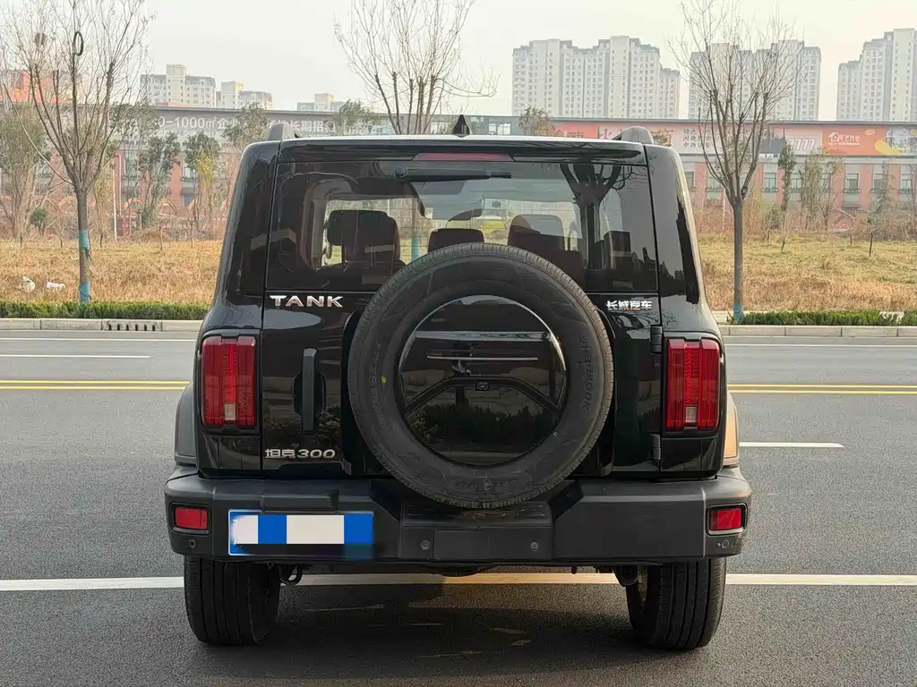 Tank 300 2023 Off-Road Version 2.0T Challenger купить на сайте DeffCars