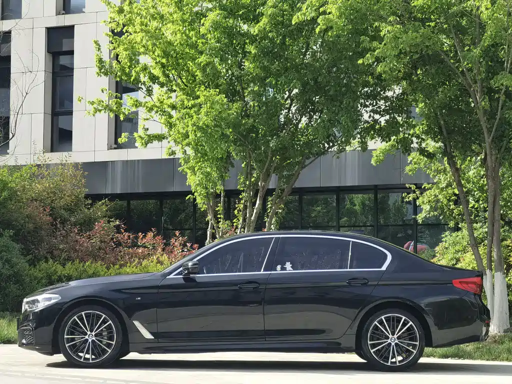 BMW 5 Series 2020 530Li Leading M Sports Package купить на сайте DeffCars