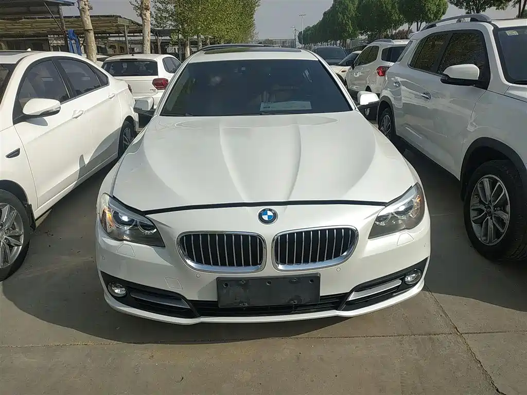 BMW 5 Series 2017 520Li Elegant купить на сайте DeffCars