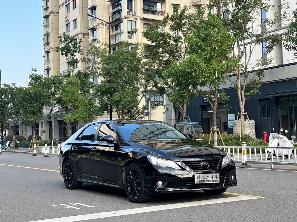 Reizhi 2010 2.5V Fashion Elite Edition купить на сайте DeffCars