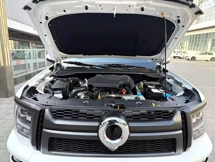 King Kong Cannon 2024 2.0T automatic diesel four-wheel drive elite long box купить на сайте DeffCars