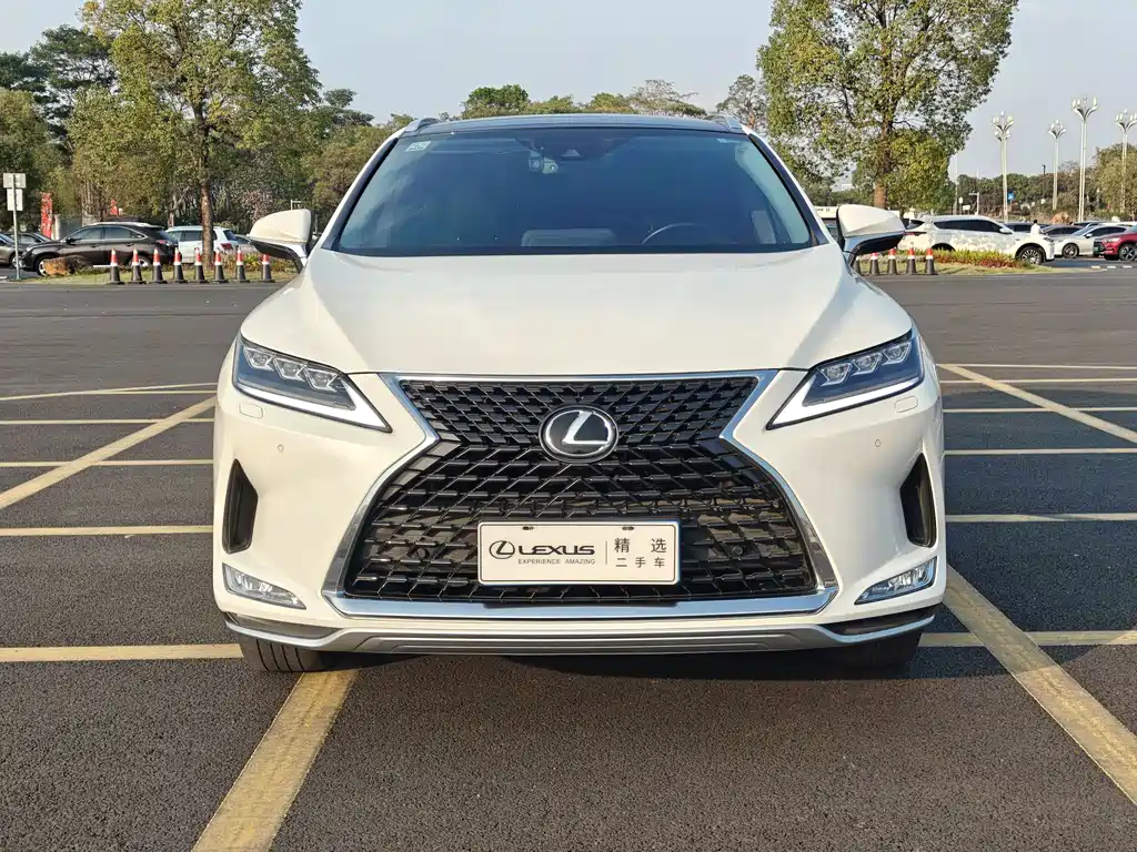 Lexus RX 2020 300 four-wheel drive elegant version National VI купить на сайте DeffCars