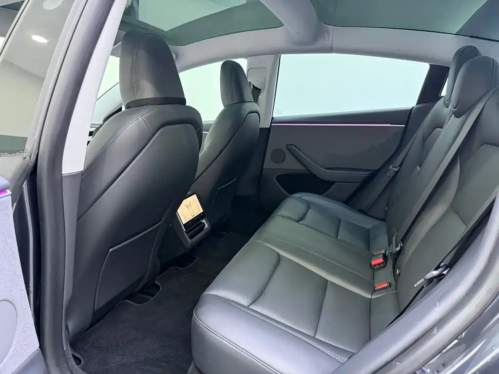 Model 3 2023 rear-wheel drive version купить на сайте DeffCars