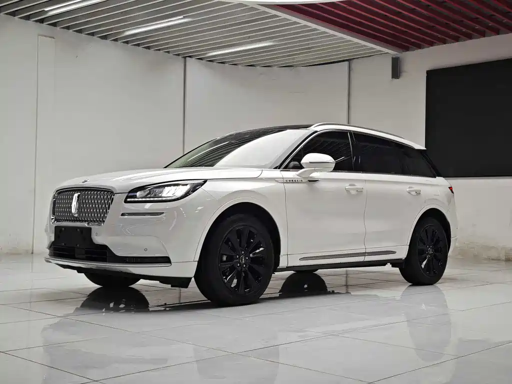 Adventurer 2022 2.0T two-wheel drive MONO limited edition купить на сайте DeffCars