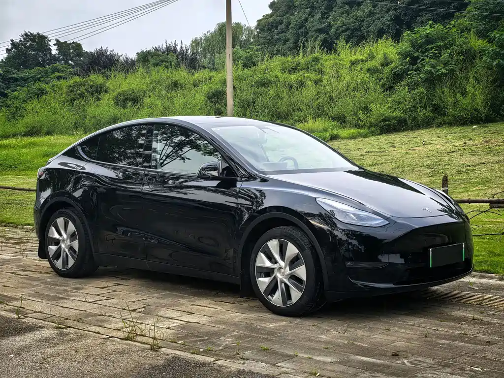 Model Y 2021 standard range rear-wheel drive version купить на сайте DeffCars