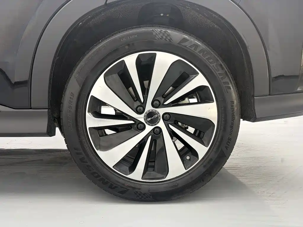 Song PLUS New Energy 2024 Honor Edition DM-i 110km flagship model купить на сайте DeffCars