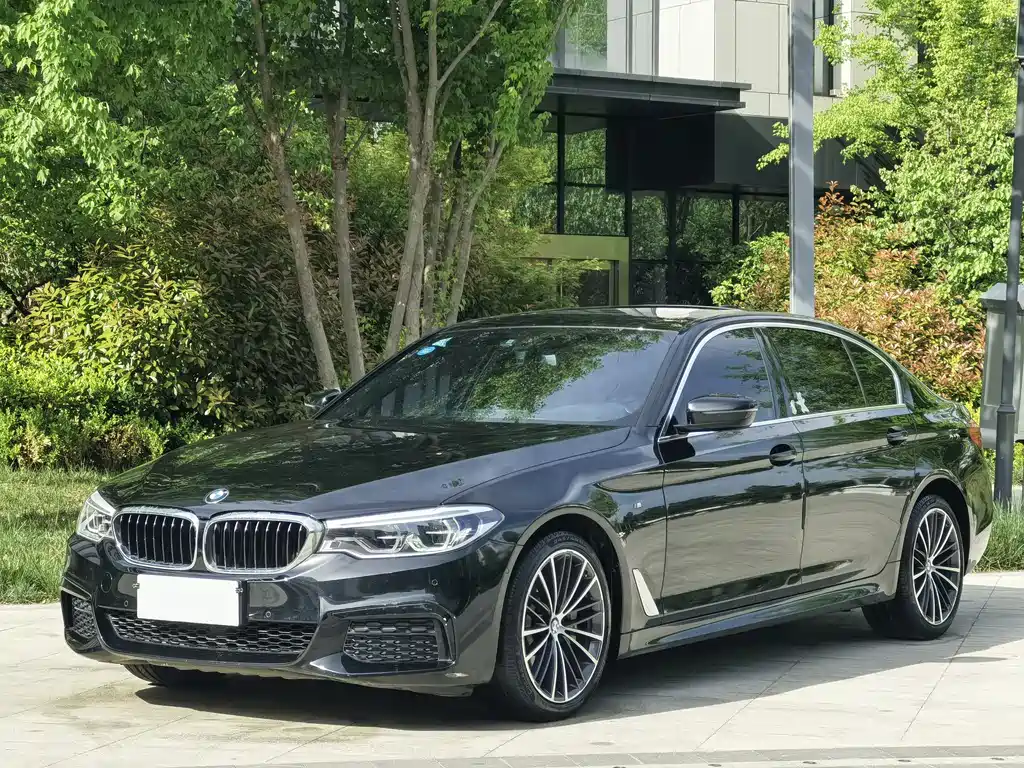 BMW 5 Series 2020 530Li Leading M Sports Package купить на сайте DeffCars