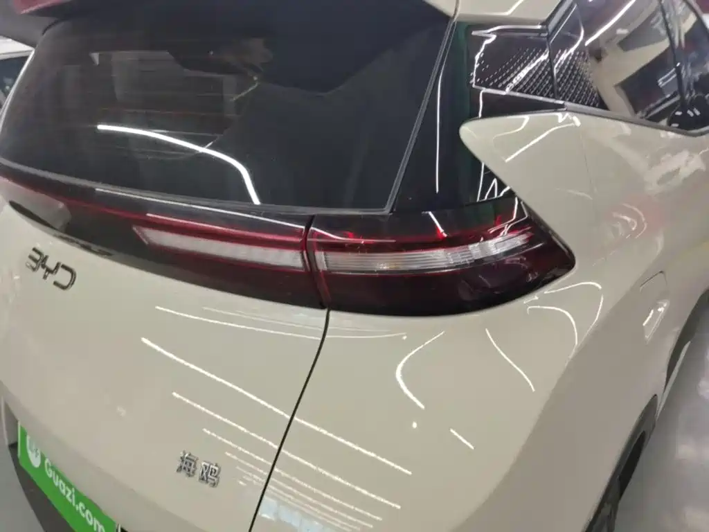 Seagull 2025 305km active version купить на сайте DeffCars