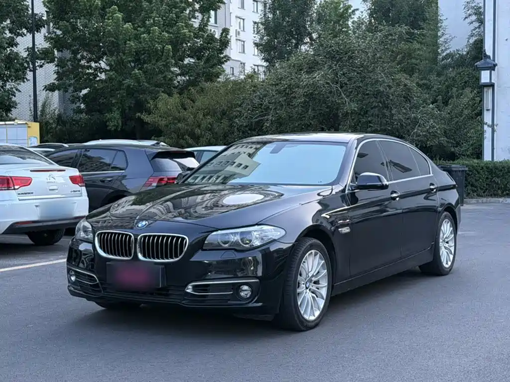 BMW 5 Series 2014 525Li Luxury Design Set купить на сайте DeffCars