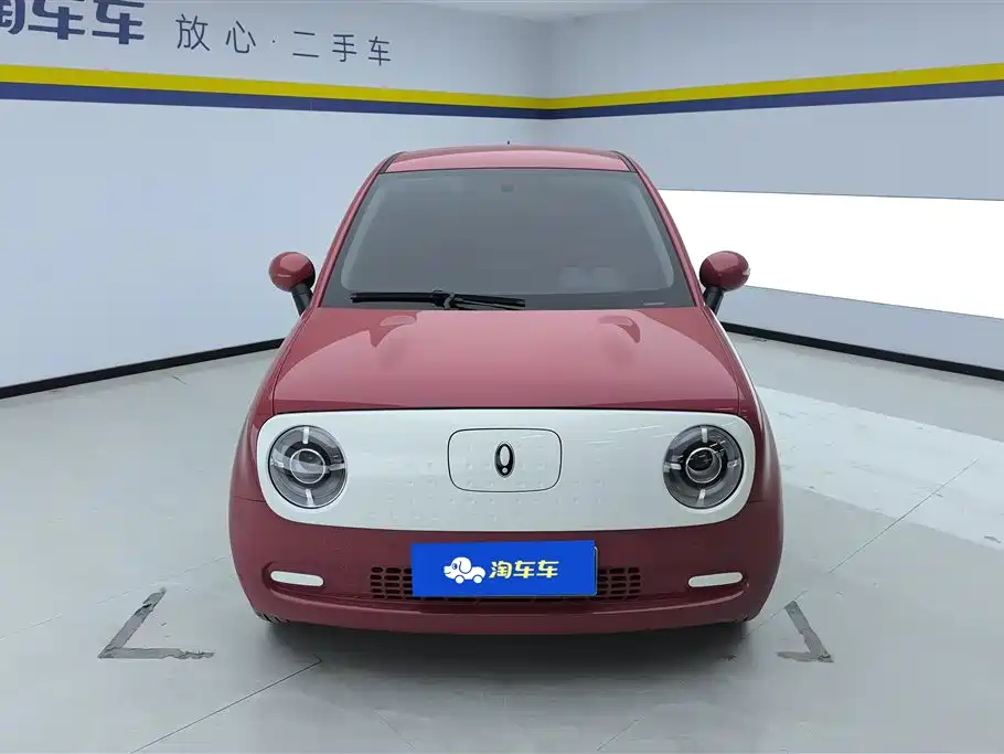 Euler Black Cat 2022 301km basic model ternary lithium купить на сайте DeffCars