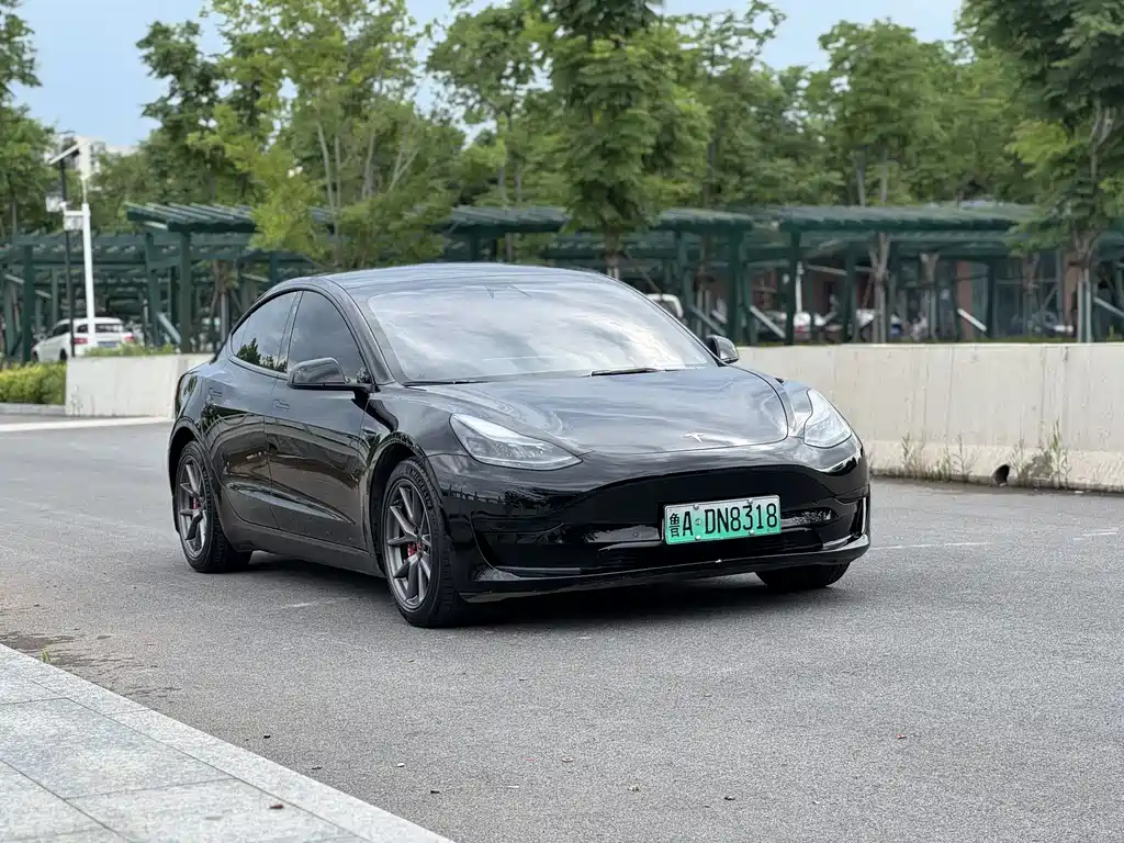 Model 3 2022 rear-wheel drive version купить на сайте DeffCars