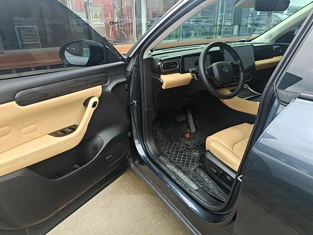 Leapmoon C11 2024 Extended Range 300 Exclusive Edition купить на сайте DeffCars